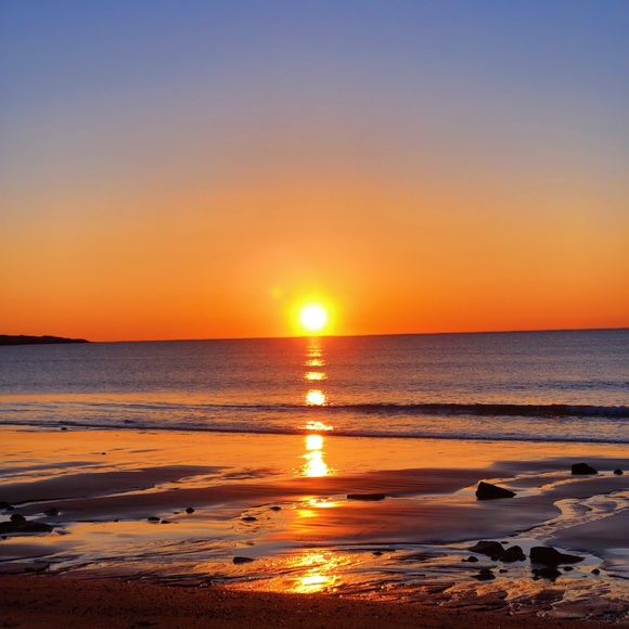 Meet your Posher, Sophie - Picture 1 of 1